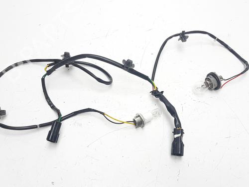 Used Lamp holder KIA PICANTO I (SA) [2004-2012]  14200722