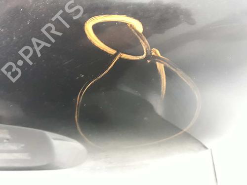 Tailgate MINI MINI (R50, R53) One D | BP178659C6 