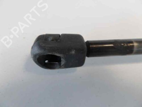 Tailgate lift support SEAT ALHAMBRA (7V8, 7V9)  | BP14204746C138 