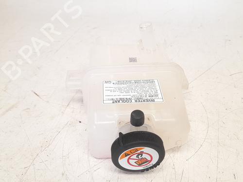Used Expansion tank TOYOTA COROLLA Hatchback (_E21_, _EA1_, _EH1_) [2018-2025]  16200259
