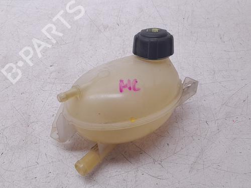 expansion-tank-dacia-duster-hs_-2010-2011-2012-2013-2014-2015-2016-2017-2018-31969105 main image