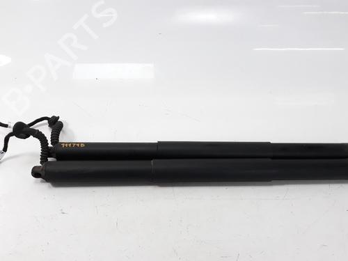 Used Tailgate lift support AUDI Q5 (FYB, FYG) 2.0 TDI (150 hp) 14201863