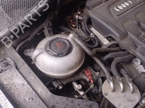 Vaschetta di espansione AUDI A3 (8V1, 8VK) 1.6 TDI (115 hp) 32067837