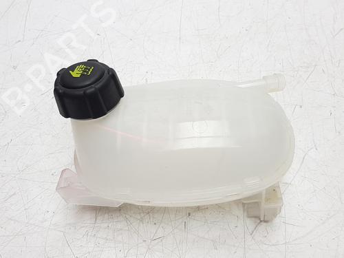 Used Expansion tank DACIA SANDERO II [2012-2025]  8633354