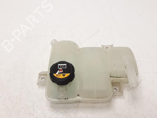 Expansion tank KIA NIRO I (DE) 1.6 GDI Plug-in Hybrid 25430G2500