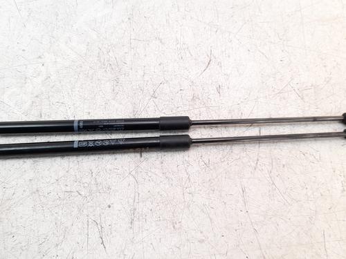 Used Tailgate lift support AUDI Q7 (4MB, 4MG, 4MQ) 60 TFSI e quattro (455 hp) 18338887