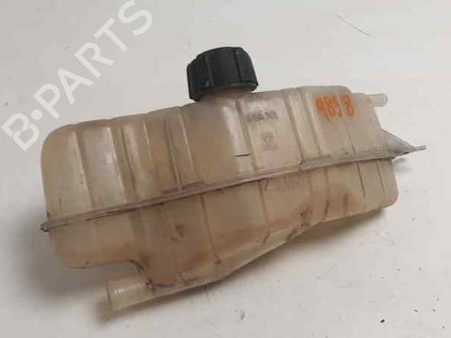 Used Expansion tank RENAULT CLIO III (BR0/1, CR0/1) 1.5 dCi (75 hp) 5857736