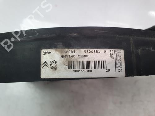 Radiator fan PEUGEOT 2008 I (CU_) 1.2 THP 110 / PureTech 110 | BP29022487M35 