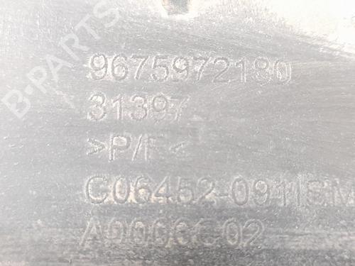 Underbody protection CITROËN C4 Picasso II 1.6 BlueHDi 120 | BP31320899M92