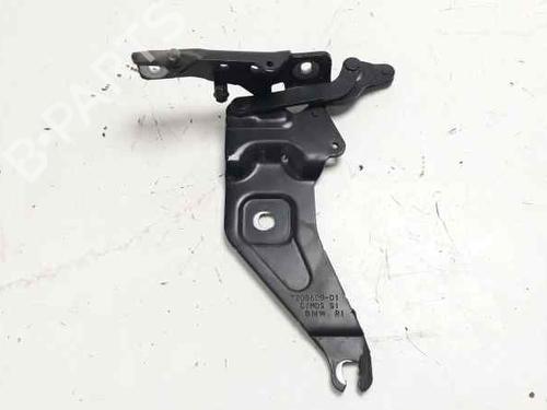 Hinge/Door check strap BMW X5 (E70) 3.0 sd | BP14205631C146 