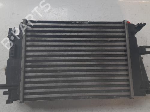 Intercooler NISSAN QASHQAI III (J12) 1.3 DIG-T | BP32289429M30