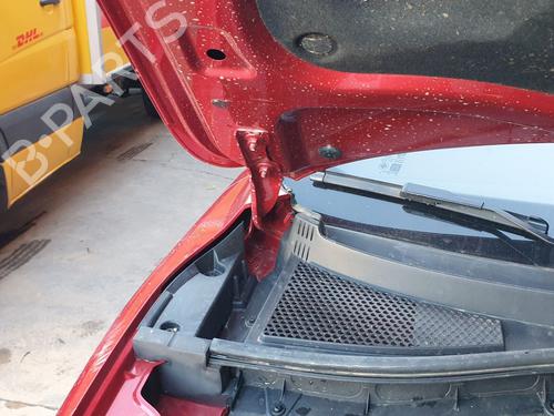 Hinge/Door check strap MG MG ZS SUV (AZS1)  | BP29453057C146 