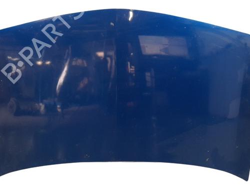 Used Hood RENAULT MEGANE II (BM0/1_, CM0/1_) 1.5 dCi (BM1F, CM1F) (86 hp) 19679000