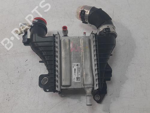 Intercooler RENAULT MEGANE IV Hatchback (B9A/M/N_) 1.5 Blue dCi 115 (B9A6) (116 hp) 31811361