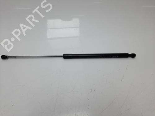 Used Hood lift support DACIA SANDERO II [2012-2025]  14195766