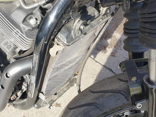 Used Water radiator HARLEY-DAVIDSON STREET Street 750 (XG1) (57 hp) 25232177