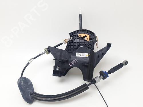 Gearstang Gearstang 36805418 36805418