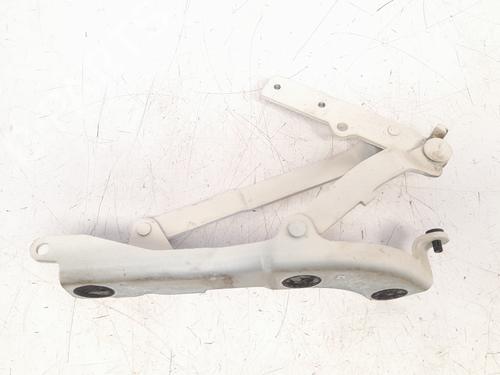 Hinge/Door check strap FIAT 500 (312_) 1.2 (312AXA1A) | BP17960399C146 