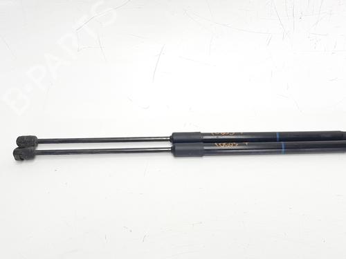 Tailgate lift support SKODA OCTAVIA III (5E3, NL3, NR3) 1.6 TDI 5E5827550Q | 50CM575N