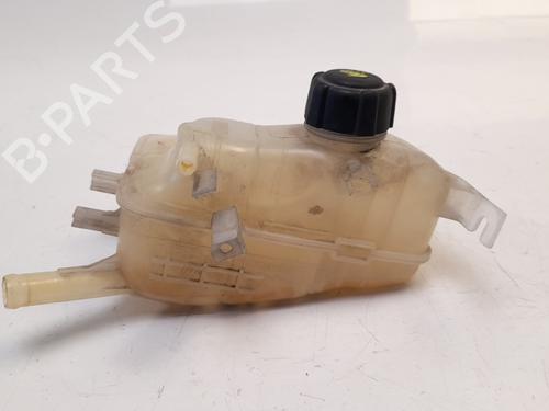 Used Expansion tank RENAULT MEGANE III Hatchback (BZ0/1_, B3_) 1.5 dCi (BZ1G, BZ1W, BZ0R) (95 hp) 7493105