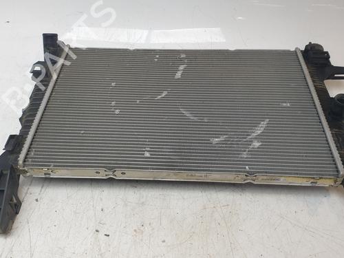 Water radiator FORD KUGA II (DM2)  | BP21808018M31 