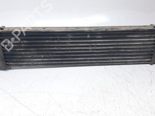 Intercooler LAND ROVER FREELANDER I (L314)  | BP15506552M30 