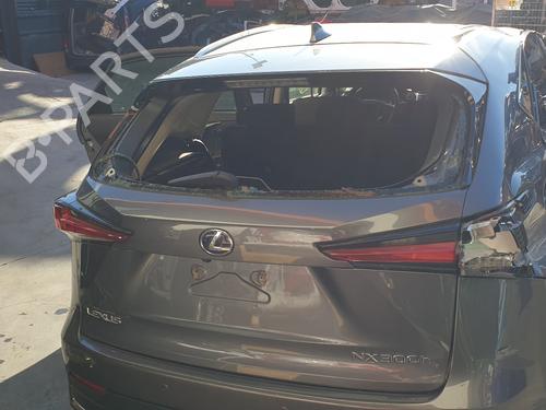 BP15506469C6 | Tampa da Mala LEXUS NX (_Z1_) 300h (AYZ10_) BP15506469C6