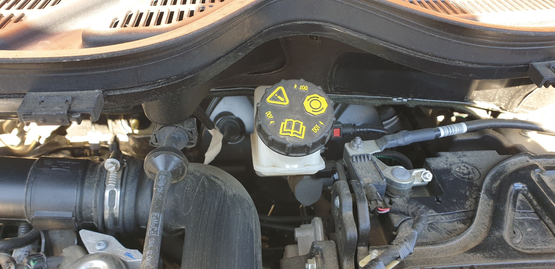 Servo brake FORD ECOSPORT 1.0 EcoBoost 17625673 | B-Parts