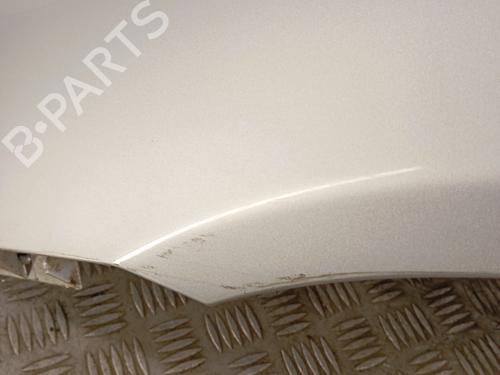 Left front fenders RENAULT CLIO II (BB_, CB_) 1.2 LPG | BP29915434C41 