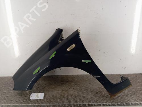 Used Left front fenders FIAT GRANDE PUNTO (199_) 1.3 D Multijet (75 hp) 29915432