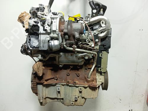 Engine RENAULT KANGOO Express (FW0/1_)  | BP34450597M1  - Image 7