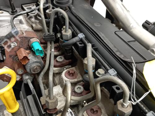 Engine RENAULT CLIO II (BB_, CB_) 1.5 dCi (B/CB07) | BP31148903M1 