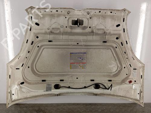 Hood FIAT DOBLO Cargo (263_) 1.3 D Multijet | BP28339991C1 