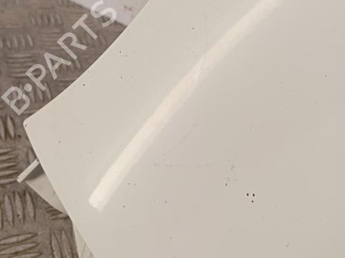 Left front fenders RENAULT KANGOO / GRAND KANGOO II (KW0/1_) 1.5 dCi 90 (KW05, KW08, KW0G, KW11) | BP29923310C41 