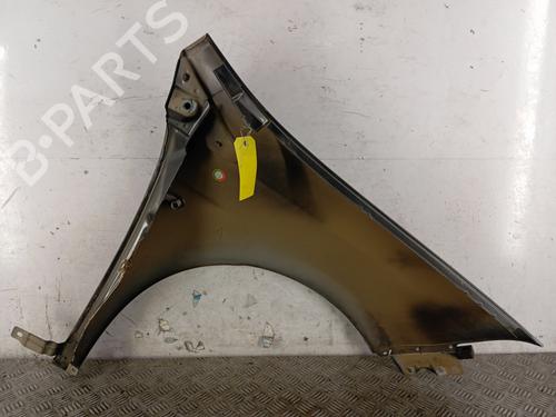 Left front fenders FIAT BRAVO II (198_) 1.6 D Multijet (198AXL1B) | BP32330586C41