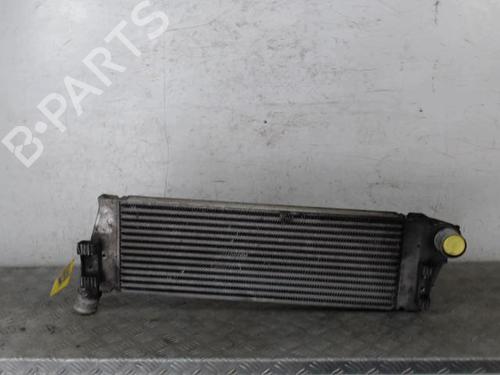 Used Intercooler RENAULT SCÉNIC II (JM0/1_) 1.9 dCi (JM14) (131 hp) 28340554
