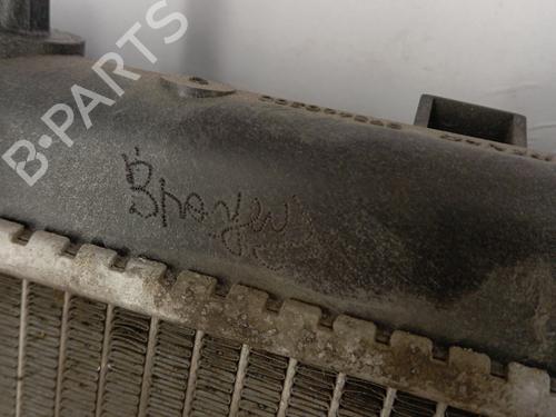Water radiator PEUGEOT 2008 I (CU_) 1.2 THP 110 / PureTech 110 | BP29545286M31 