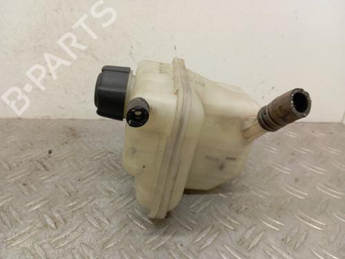 Expansion tank NISSAN QASHQAI I (J10, NJ10) 1.5 dCi | BP28348627C120 