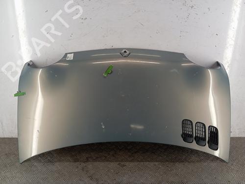 Used Hood Hood RENAULT TWINGO I (C06_) [1993-2012] 36293632 36293632
