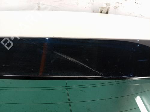 Used Tailgate Tailgate CITROËN C4 II (NC_) 1.6 HDi 90 (92 hp) 40504337 40504337