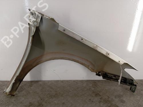 Left front fenders RENAULT LAGUNA III Grandtour (KT0/1) 2.0 dCi (KT07, KT0J, KT14, KT1A, KT1S) | BP28343947C41 