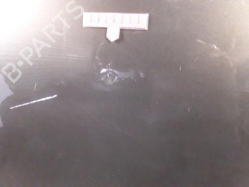 Left front door CITROËN C4 II (NC_) 1.6 HDi 115 | BP28343540C2 