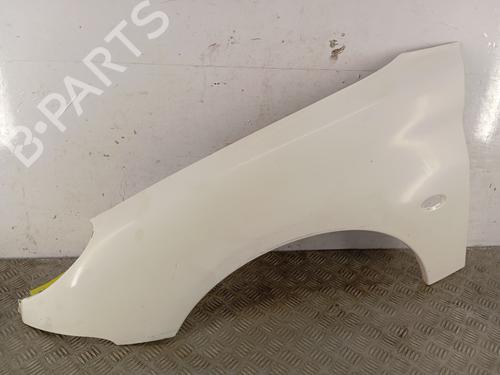 Used Left front fenders PEUGEOT 206 Hatchback (2A/C) 1.4 HDi eco 70 (68 hp) 30399601