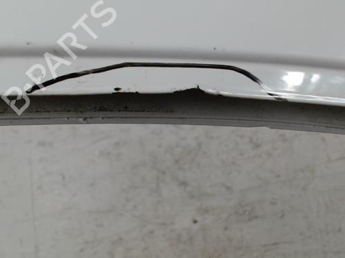 Right front door RENAULT KANGOO Express (FC0/1_) 1.5 dCi (FC07, FC1R) | BP28340791C3 