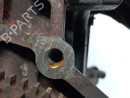 Engine RENAULT TWINGO II (CN0_) 1.2 (CN0D) | BP31996513M1 