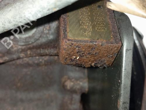 Engine FIAT BRAVO II (198_) 1.6 D Multijet (198AXL1B) | BP32292658M1