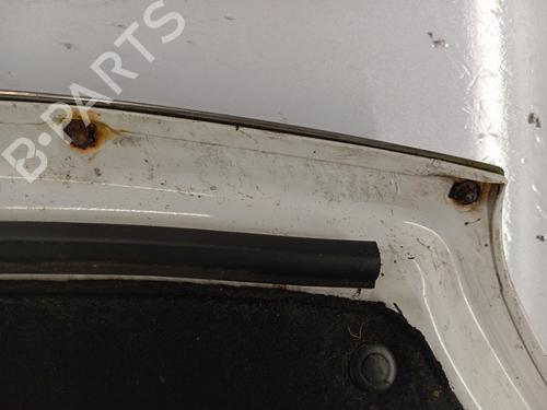 Hood CITROËN C4 Picasso I MPV (UD_) 1.6 HDi | BP29928564C1 