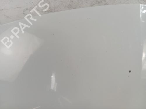 Hood RENAULT CLIO III (BR0/1, CR0/1) 1.5 dCi (C/BR0G, C/BR1G) | BP28338457C1 