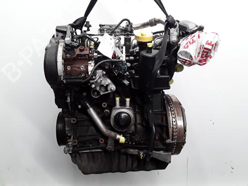 Used Engine RENAULT MEGANE III Hatchback (BZ0/1_, B3_) 1.9 dCi (BZ0N, BZ0J) (131 hp) 28341233