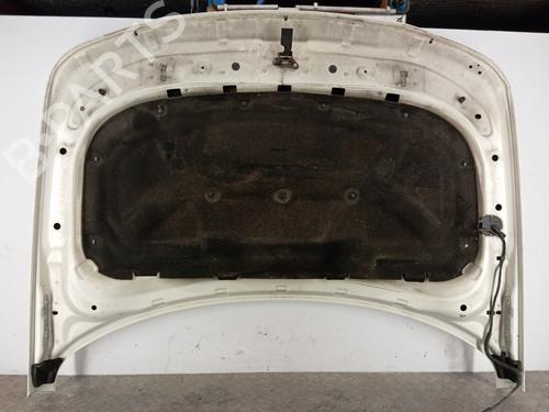 Hood LAND ROVER RANGE ROVER SPORT I (L320) 3.0 D 4x4 | BP28819523C1 